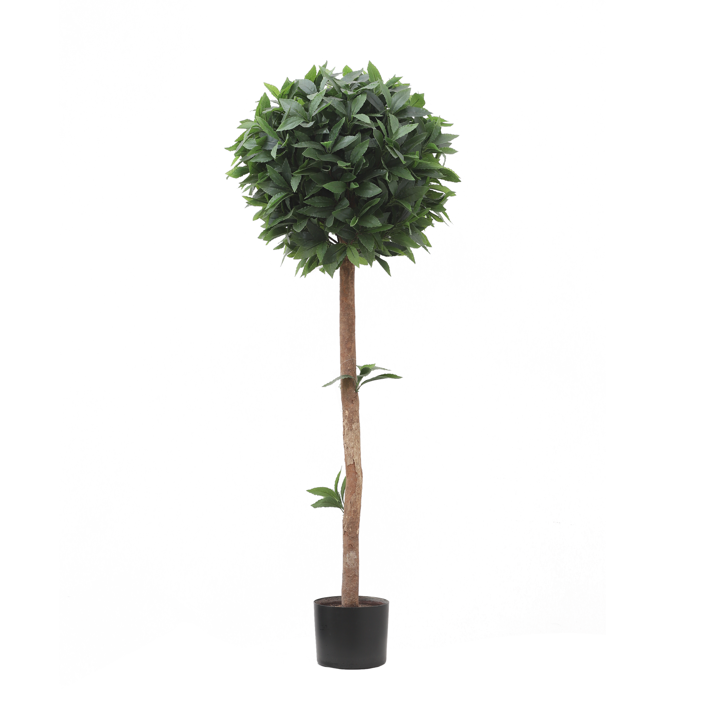 KM5298-Laurel tree topiary -H120cm
