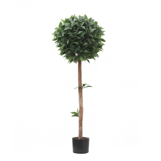 KM5298-Laurel tree topiary -H120cm