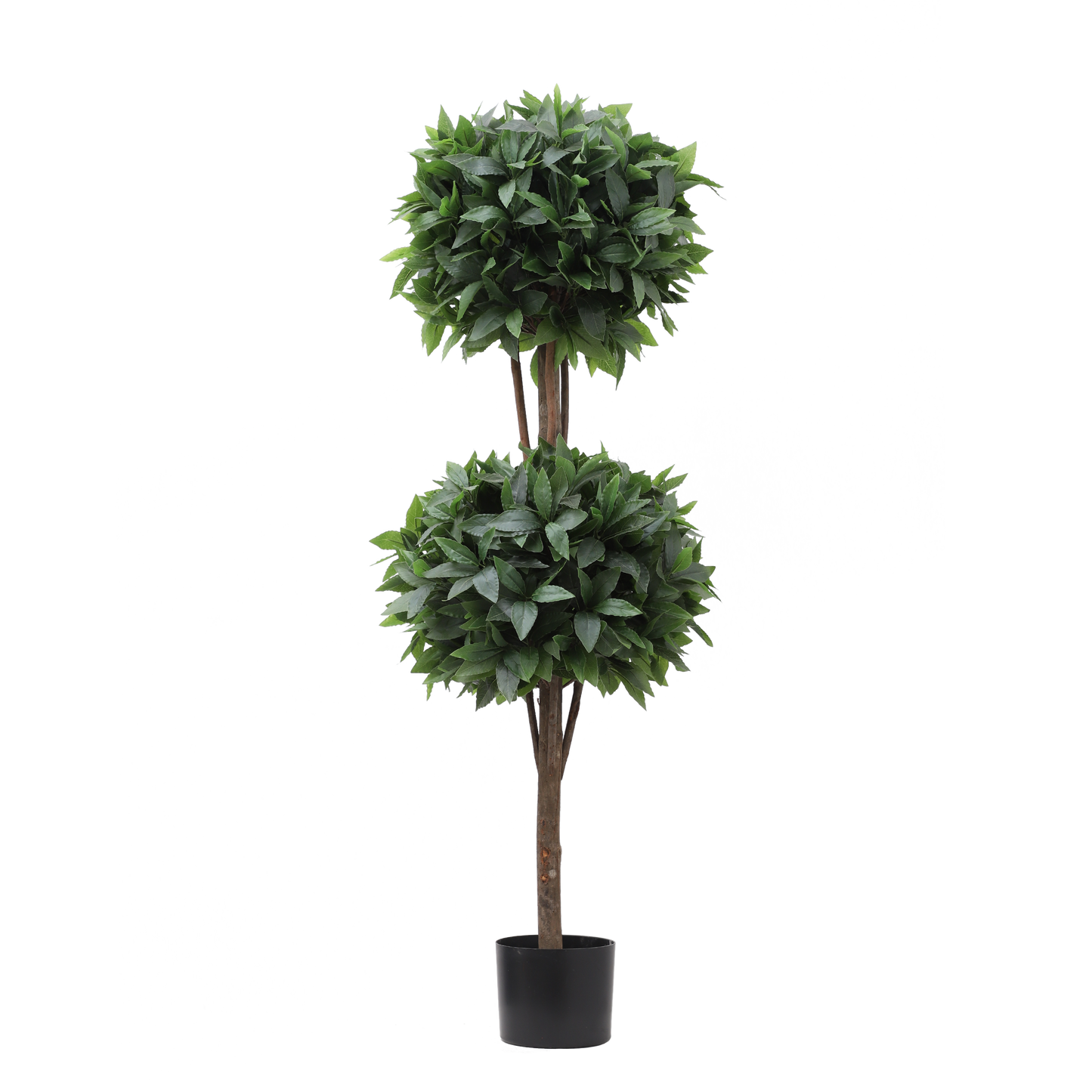 KM5300-Laurel tree double ball topiary -H120cm