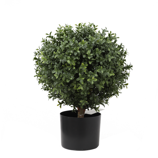 KM5305-BOXWOOD SPIRAL TOPIARY -H35cm