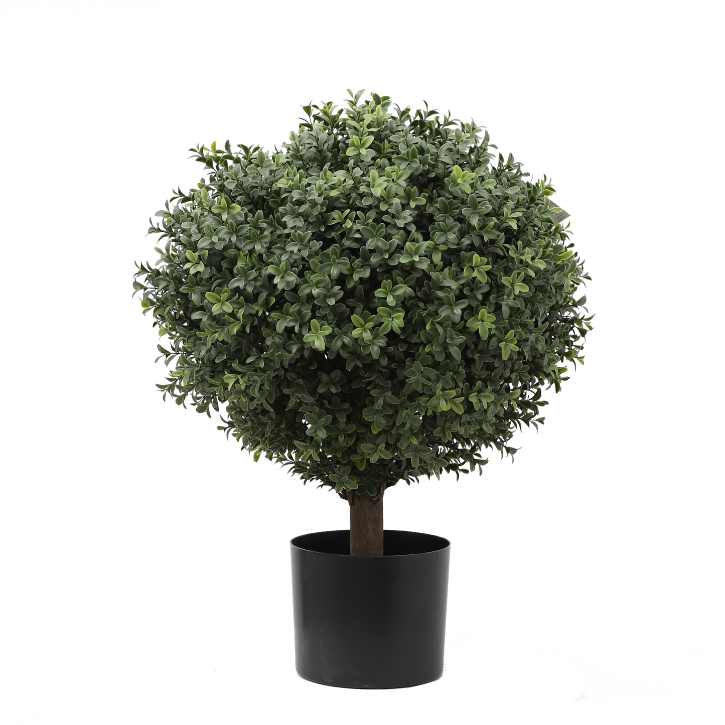 KM5306-BOXWOOD SPIRAL TOPIARY -H46cm