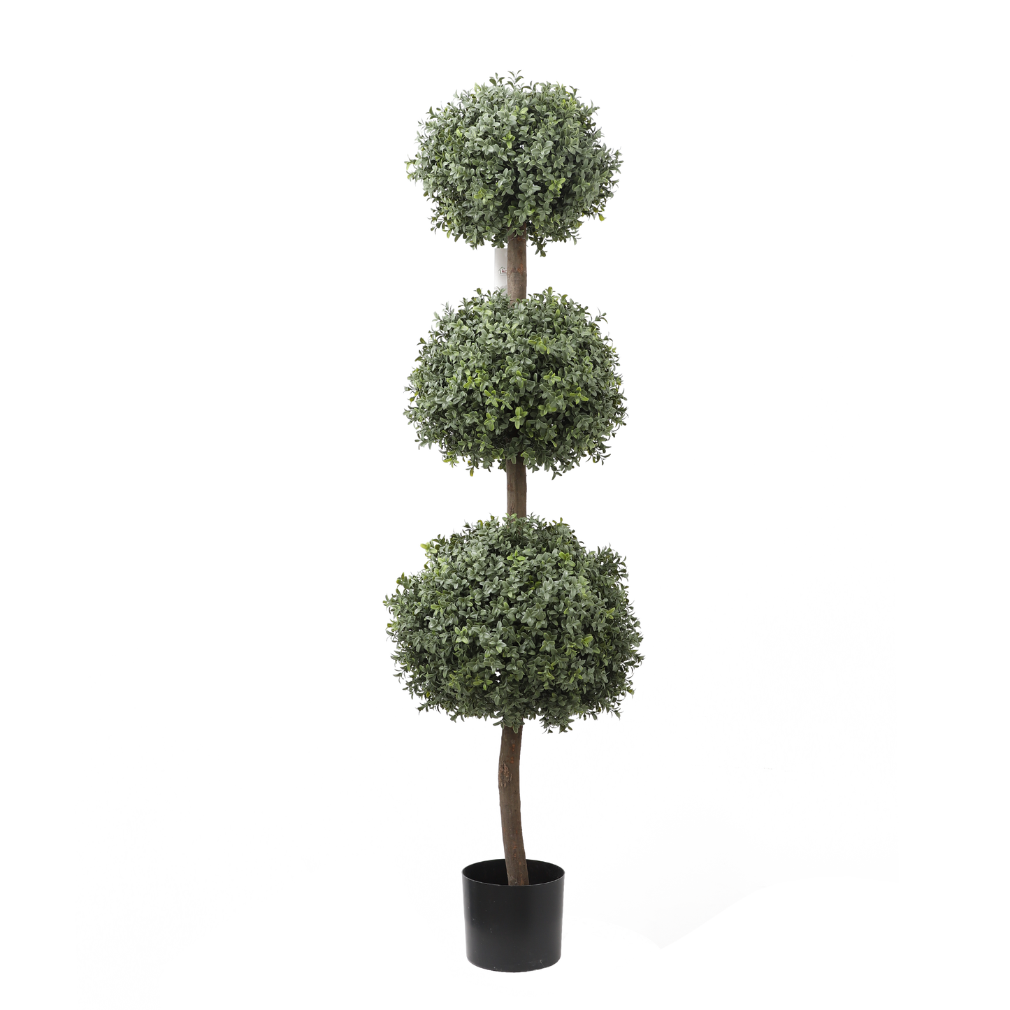 KM5311-BOXWOOD TRIPLE BALL TOPIARY-H150cm