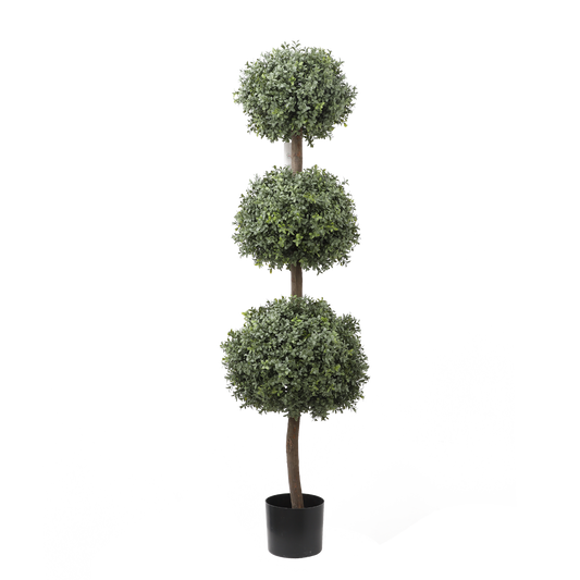 KM5311-BOXWOOD TRIPLE BALL TOPIARY-H150cm