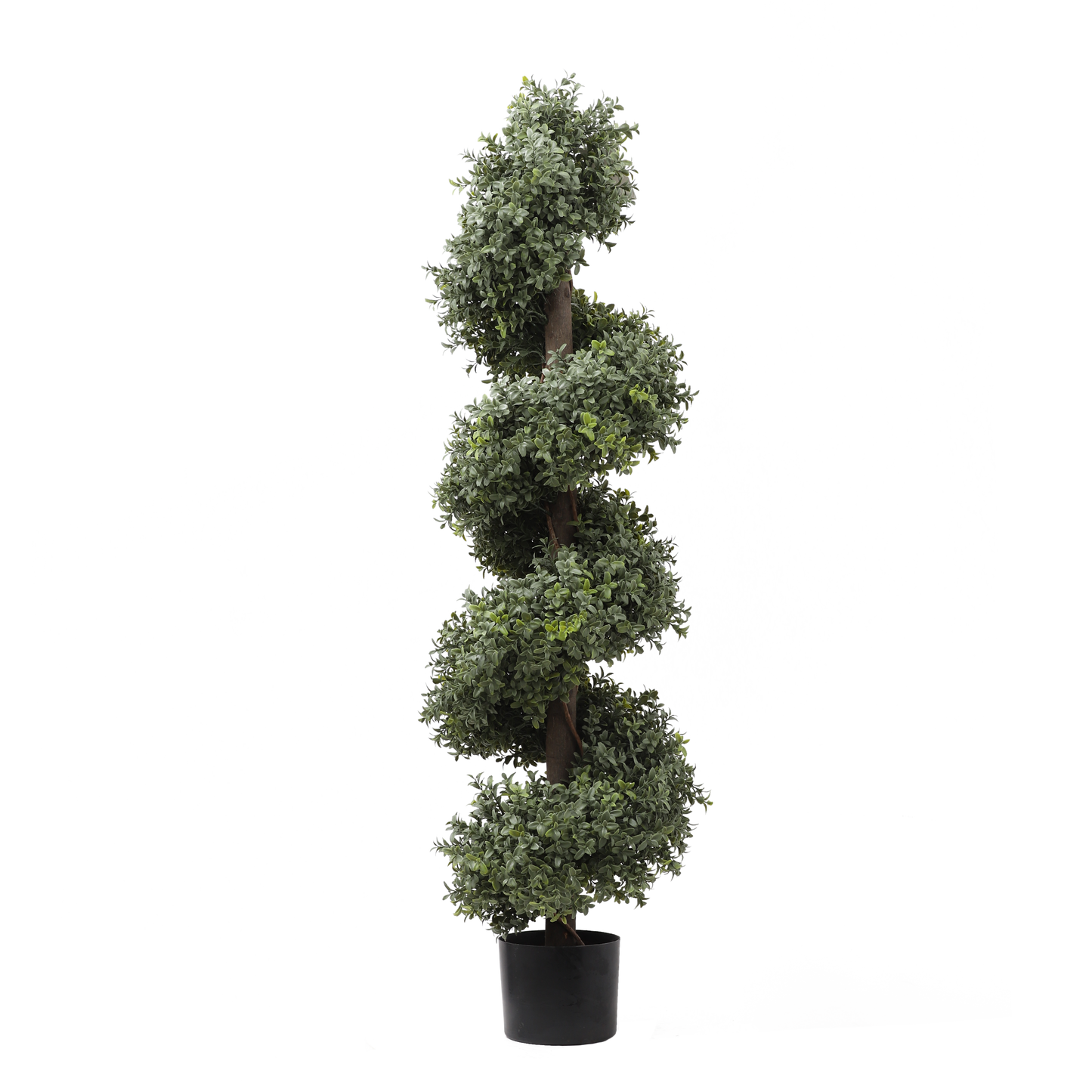 KM5312-BOXWOOD SPIRAL  TREE-H120cm