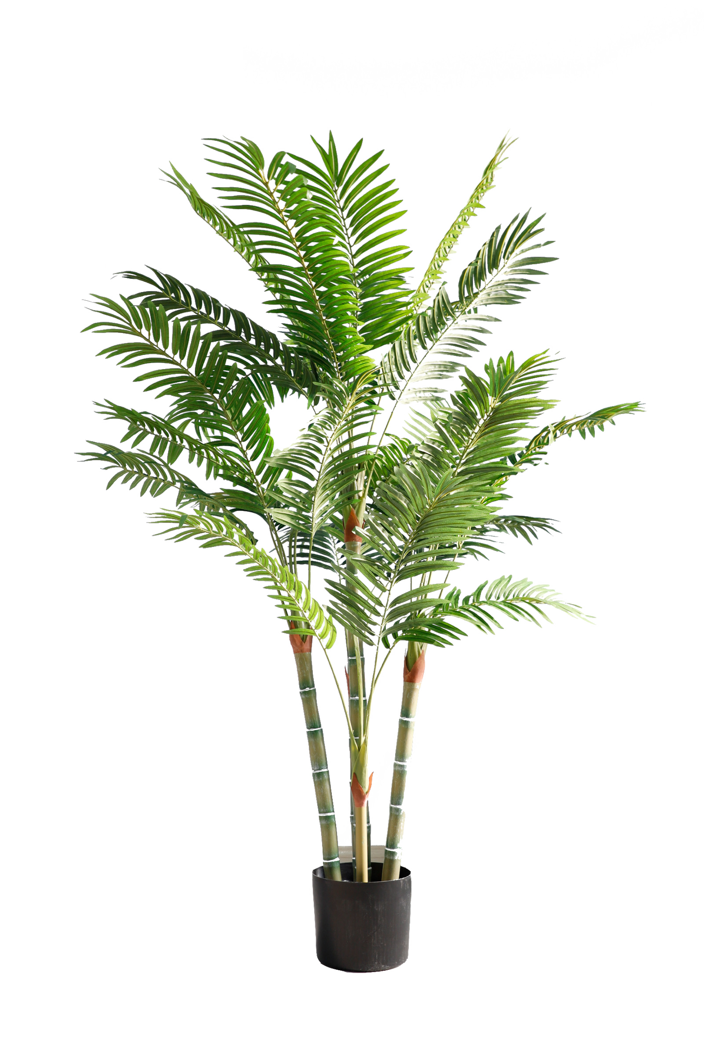 KN5337-Palm Tree-H183cm