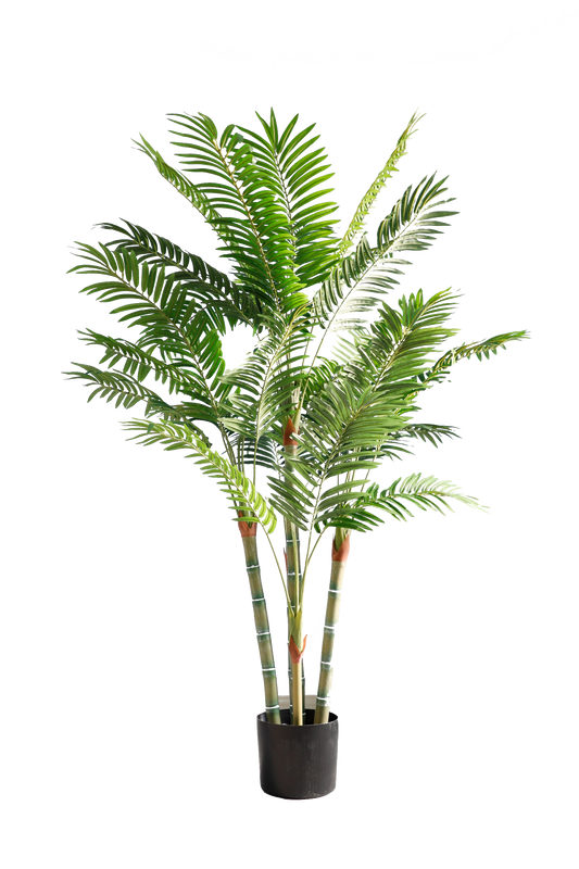 KN5337-Palm Tree-H183cm