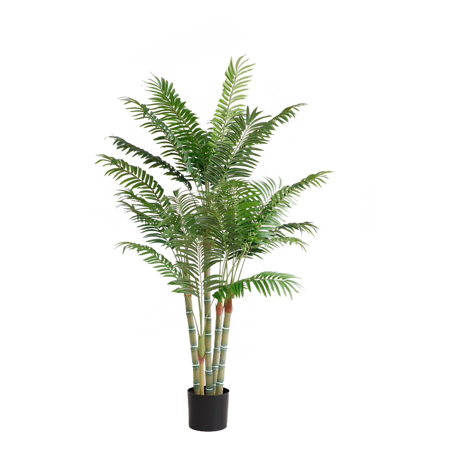 KN5344-Palm Tree-H152cm