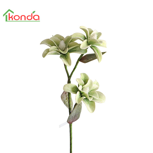 KYL-2024/kapok flower/size:41*41*84cm