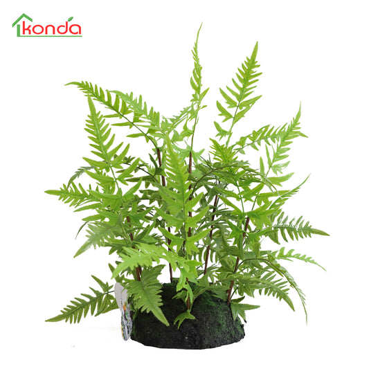 N000045Fern H45CM