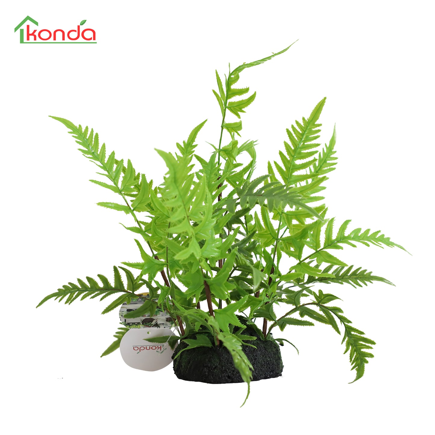 N001035 Fern H35CM