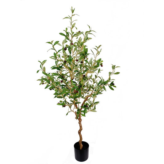Olive tree-KA0229-H140cm-4.59feet