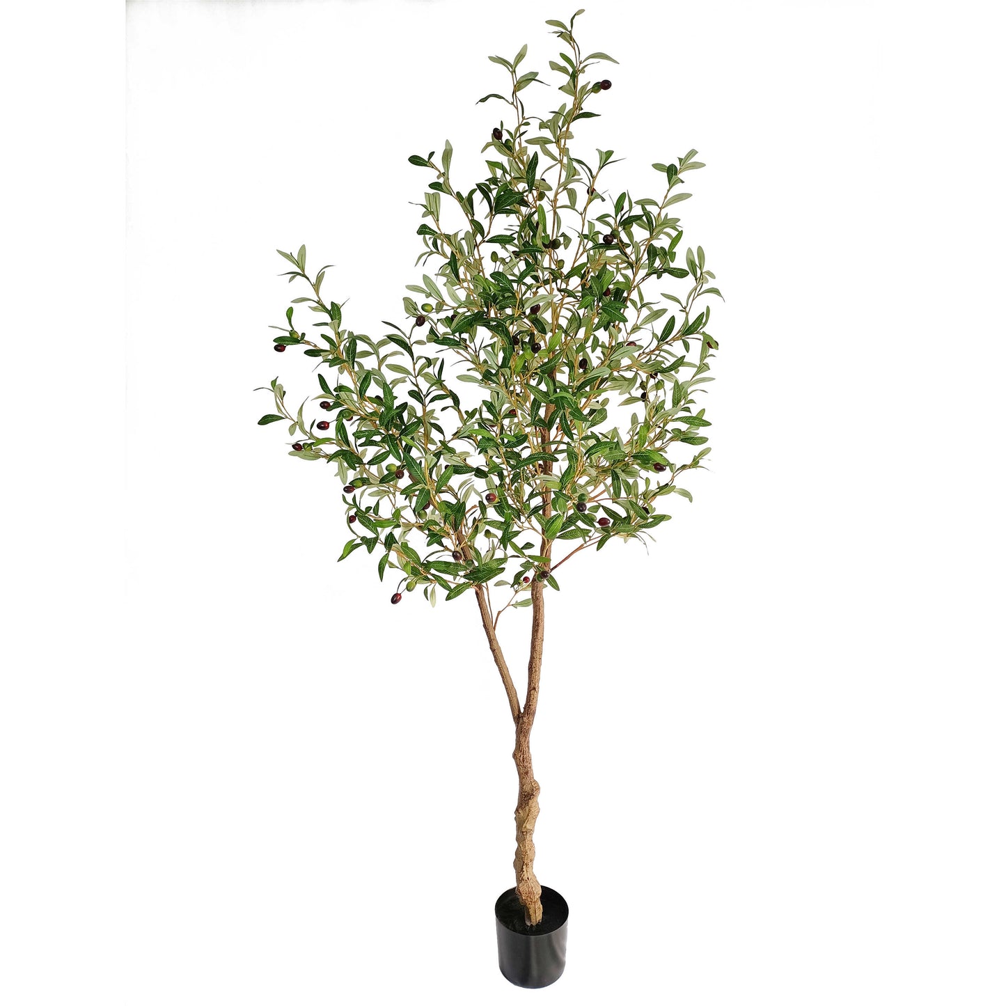 Olive tree-KA0231-H200cm-6.56feet