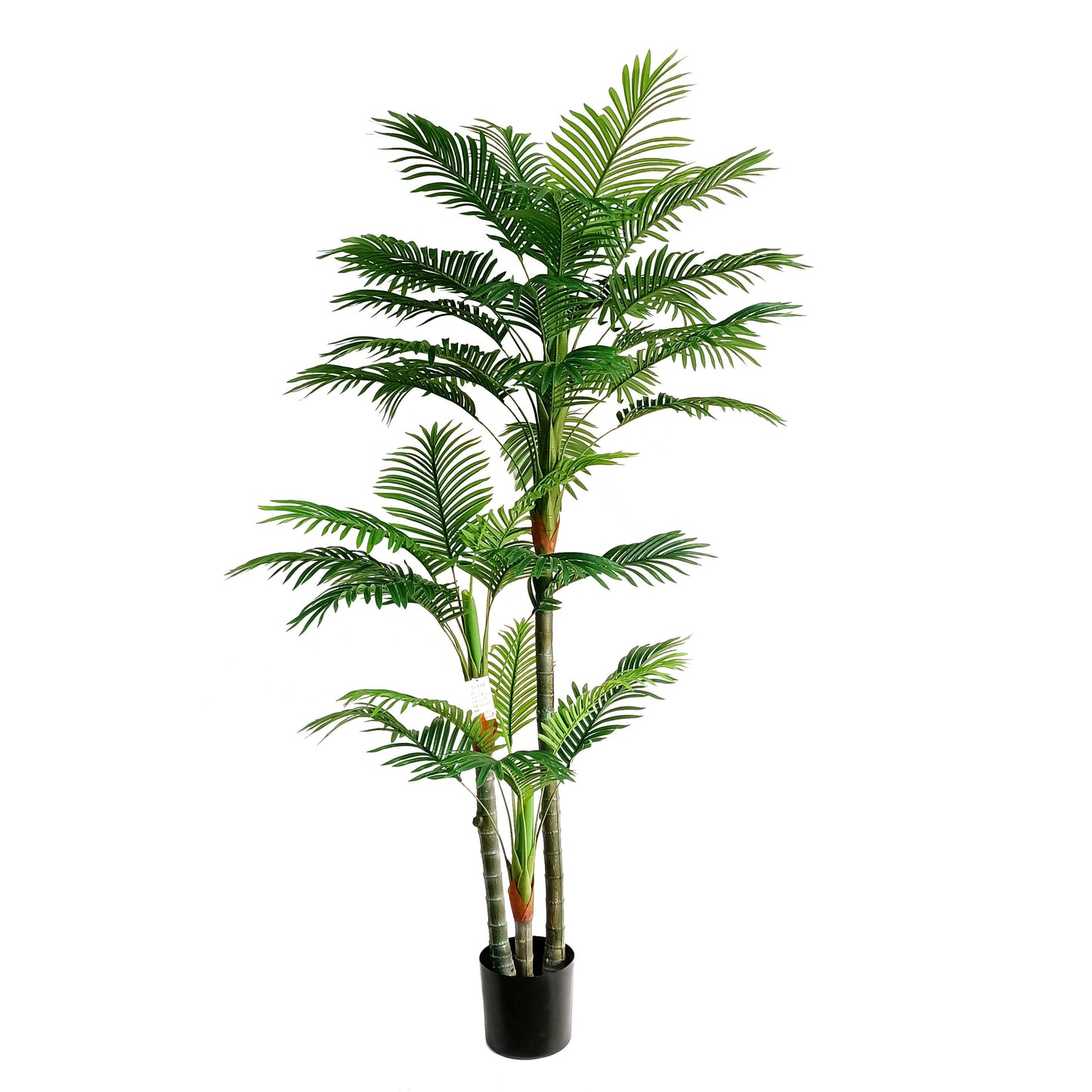 Palm tree-KA0267-H200cm-6.56feet