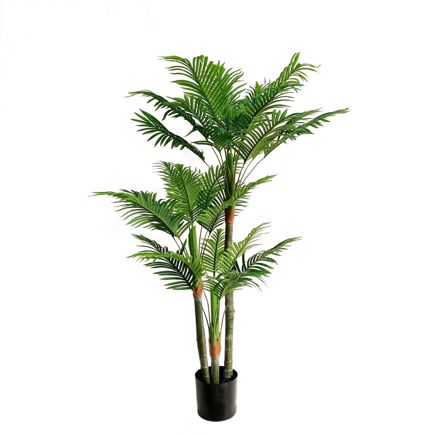 Palm tree-KA0268-H170cm-5.58feet