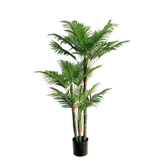 Palm tree-KA0268-H170cm-5.58feet