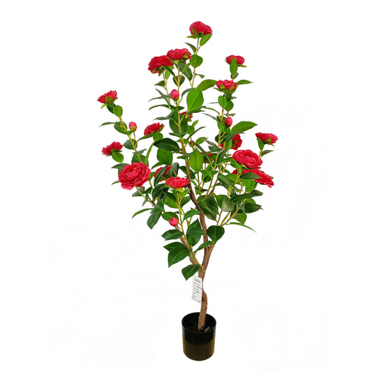 Camellia-KA0241-H110cm-3.61feet