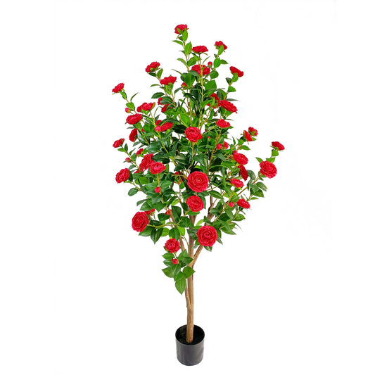 Camellia-KA0246-H180cm-5.91feet