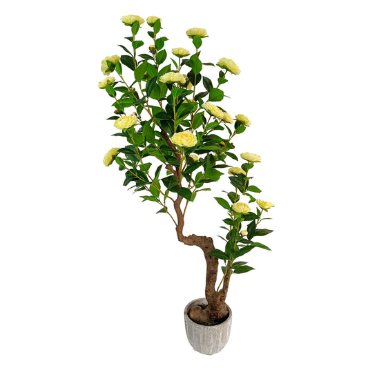 Camellia-KA0252-H140cm-4.59feet