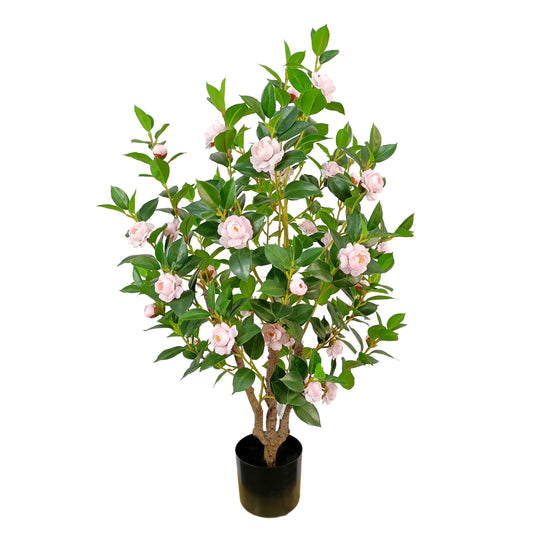 Camellia-KA0255-H95cm-3.12feet