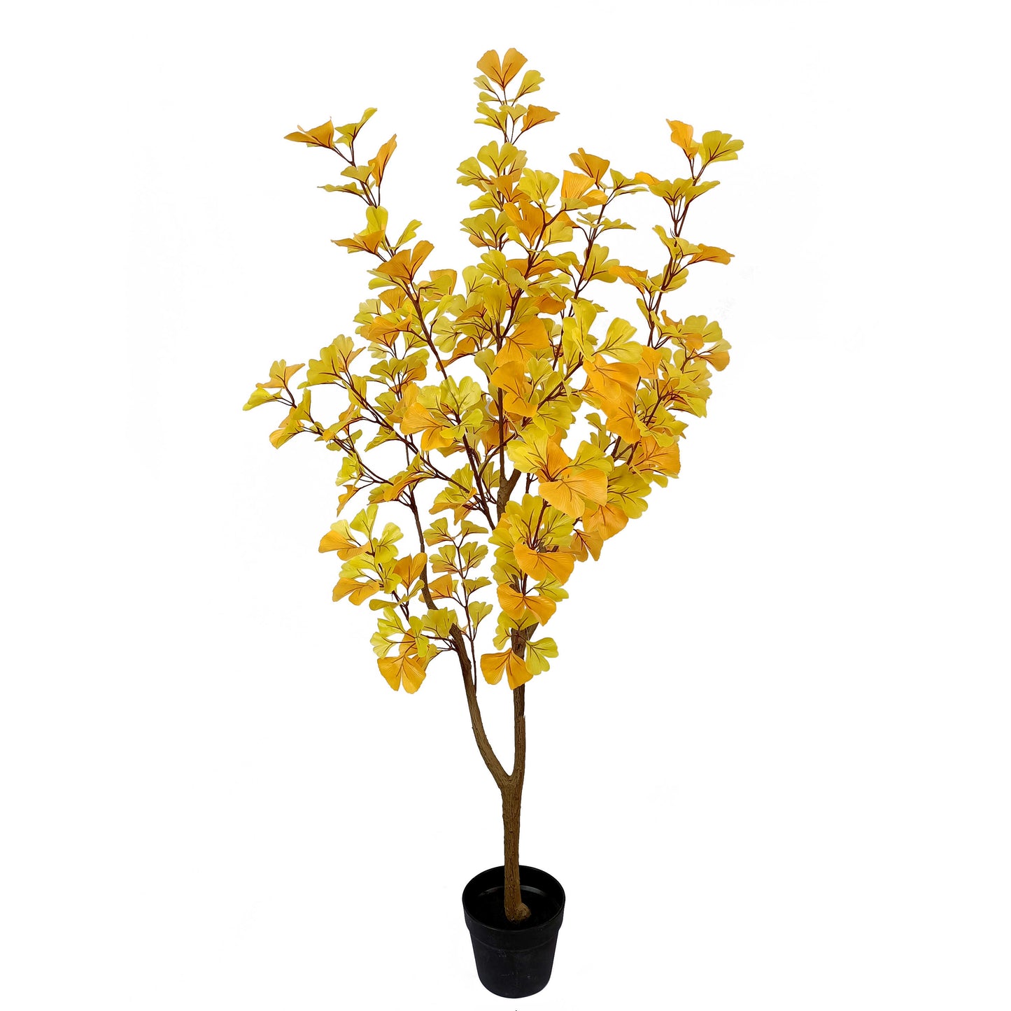 ginkgo tree-KA0209-H135cm-4.43feet