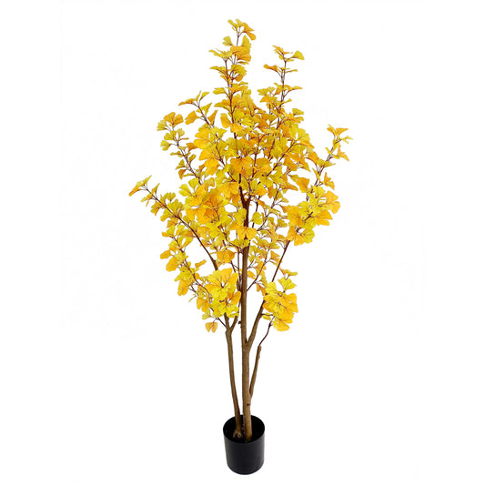 ginkgo tree-KA0210-H190cm-6.23feet