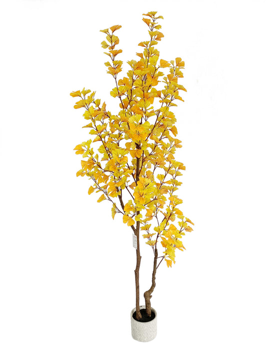 ginkgo tree-KA0211-H200cm-6.56feet