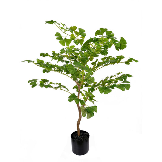 ginkgo tree-KA0228-H125cm-4.1feet