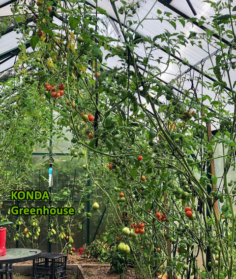 Green house  GL035