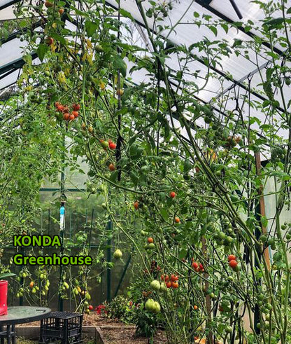 Green house  GL035