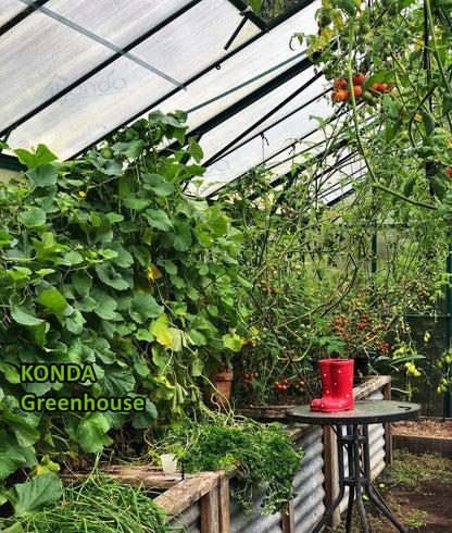 Green house  GL035
