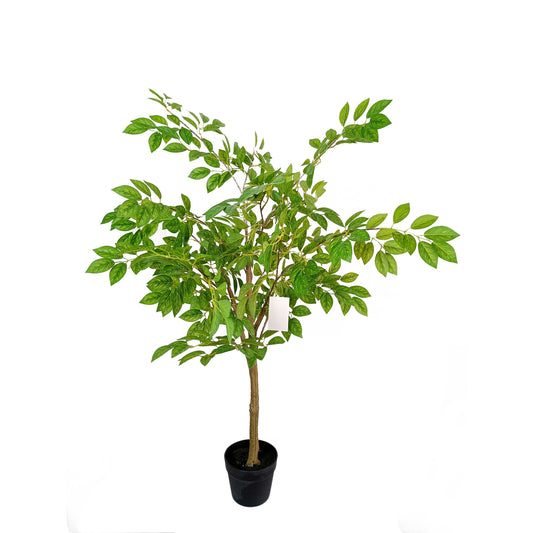 jujube tree-KA0214-H135cm-4.43feet