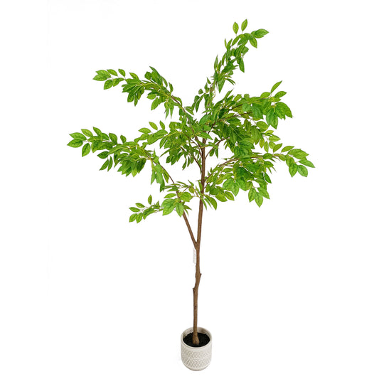 jujube tree-KA0215-H200cm-6.56feet