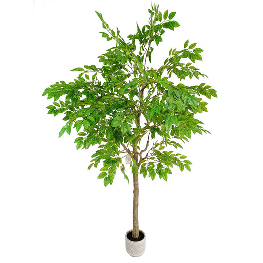 jujube tree-KA0216-H220cm-7.22feet