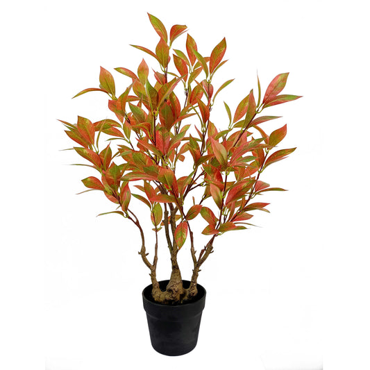 laurel tree-KA0205-H80cm-2.62feet