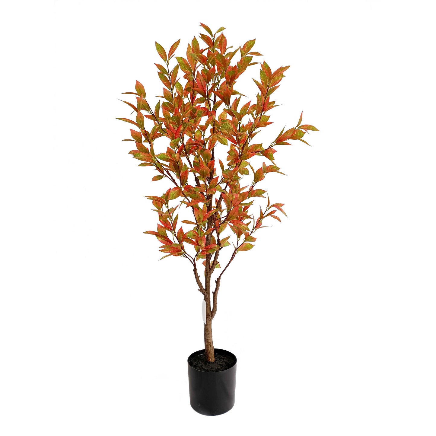 laurel tree-KA0206-H150cm-4.92feet