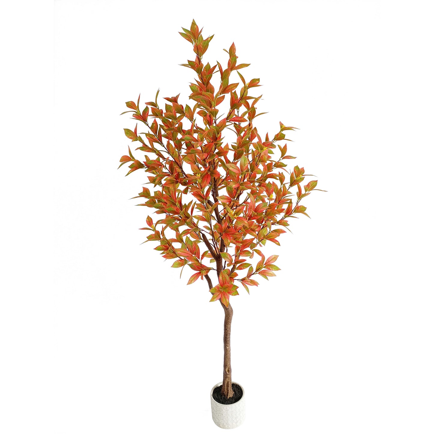 laurel tree-KA0207-H190cm-6.23feet