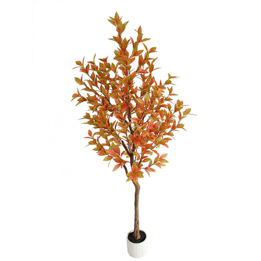 laurel tree-KA0207-H190cm-6.23feet