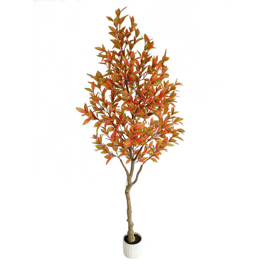 laurel tree-KA0208-H210cm-6.89feet