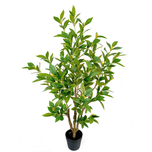 laurel tree-KA0220-120cm-3.94feet