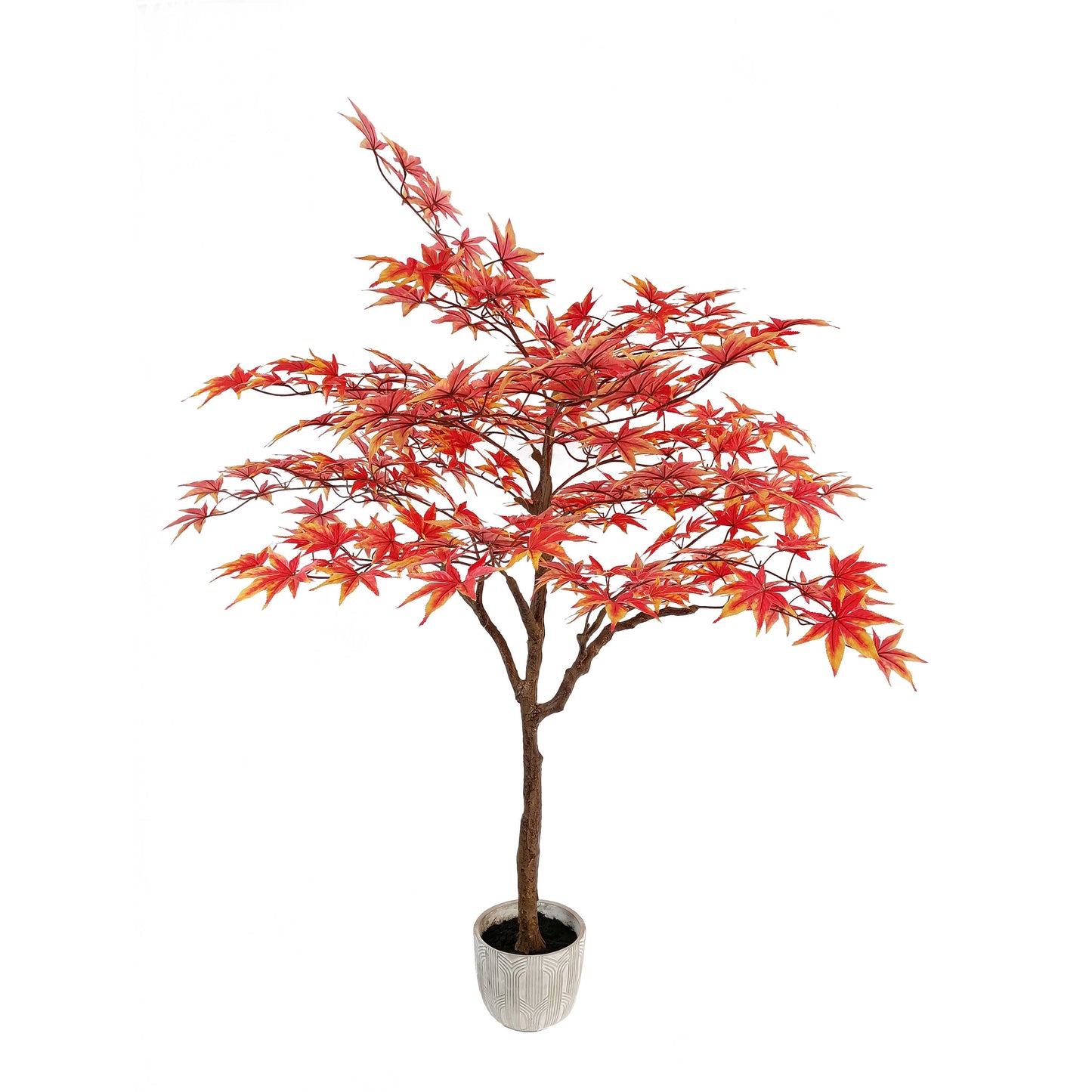 maple tree-KA0199-H160cm-5.25feet