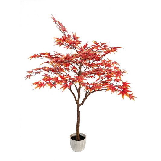 maple tree-KA0199-H160cm-5.25feet