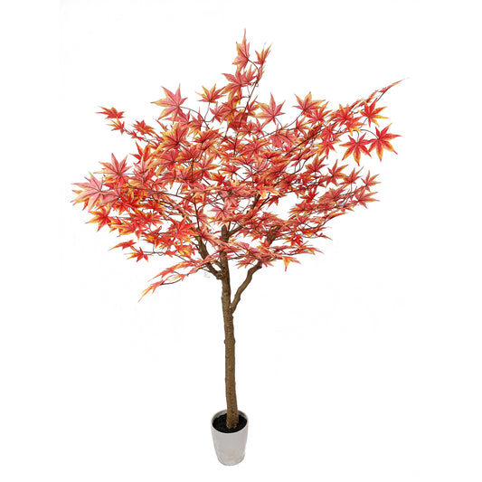 maple tree-KA0200-H190cm-6.23feet