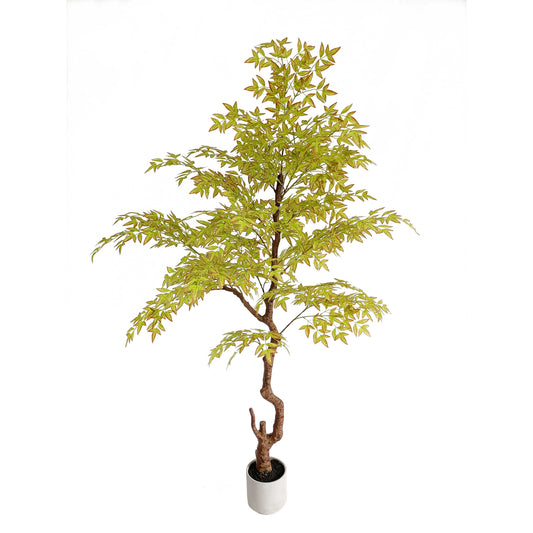 maple tree-KA0204-H210cm-6.89feet