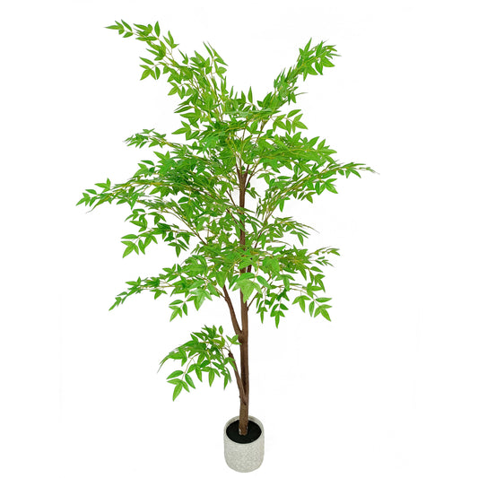maple tree-KA0219-H180cm-5.91feet