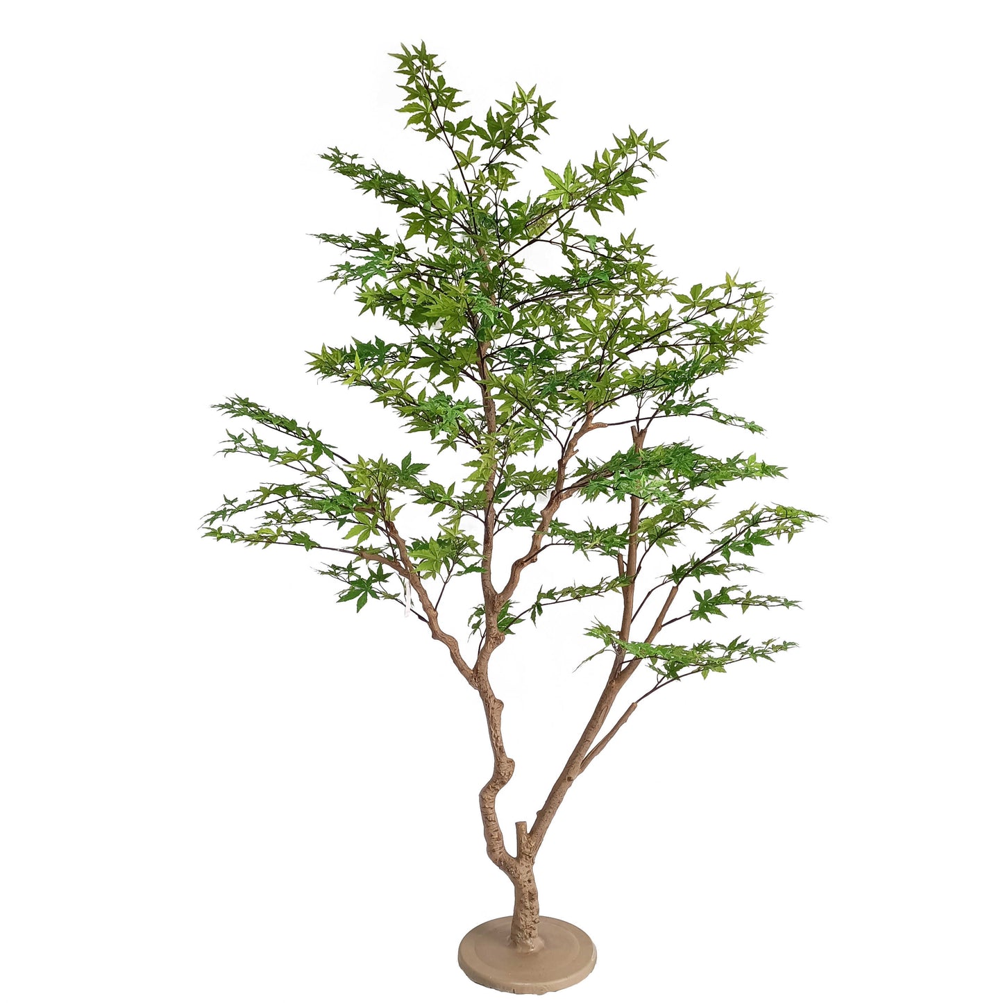 maple tree-KA0269-250cm-8.2feet